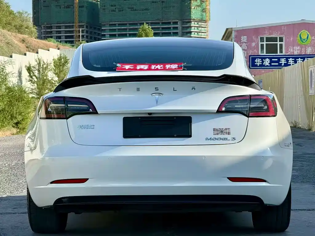 Tesla Model 3 2020 — фото 8