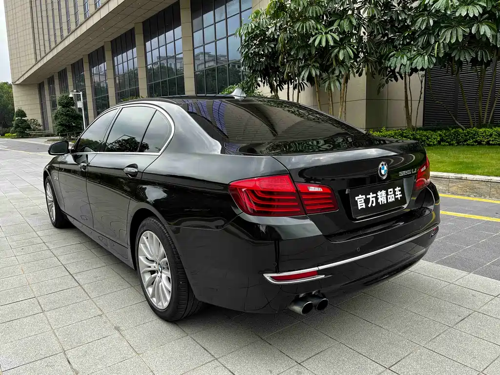 BMW 5 Series 2016 — фото 9