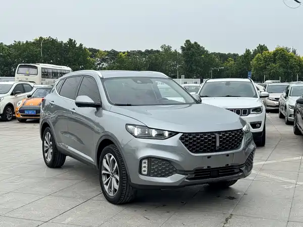 Wey VV6 2020