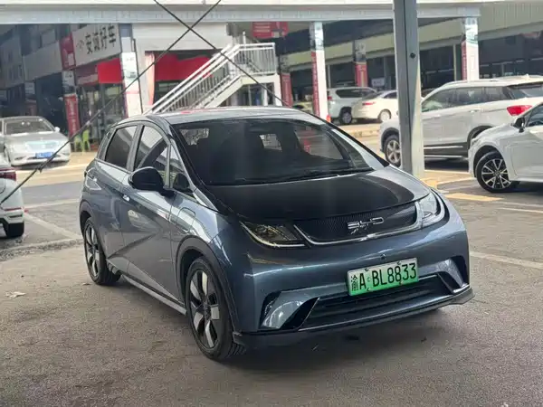 BYD Dolphin 2023