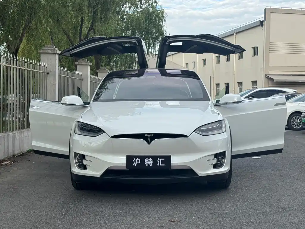 Tesla Model X 2020 — фото 16
