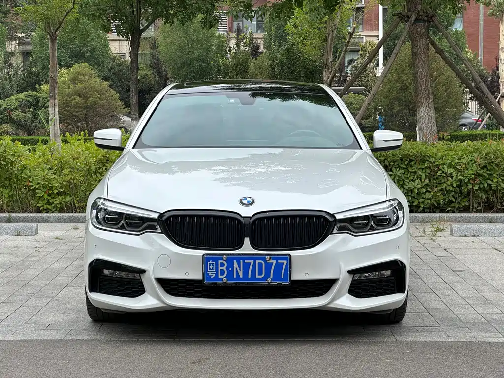 BMW 5 Series 2018 — фото 2