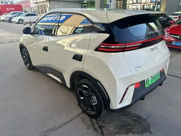 BYD Seagull 2024