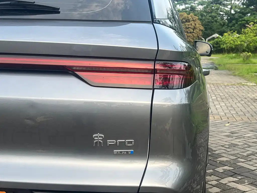 BYD Pro New Energy 2025 — фото 19