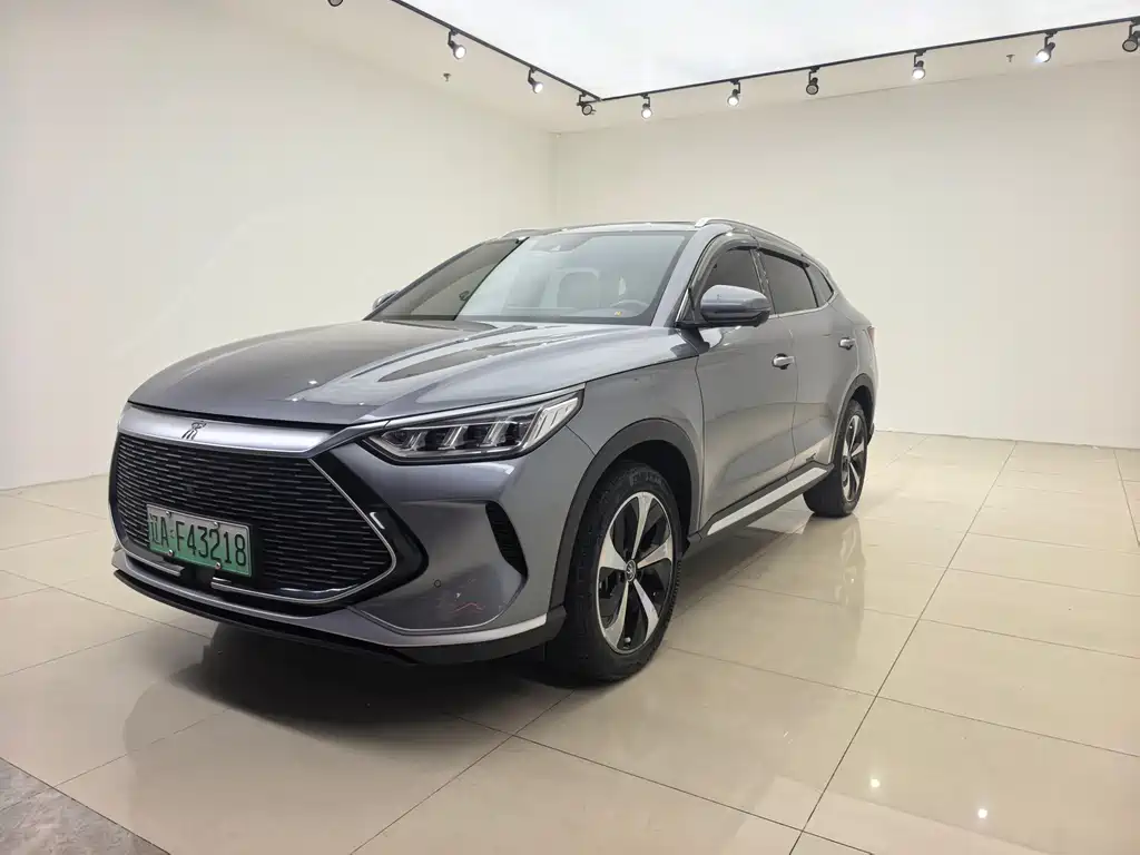 BYD PLUS New Energy 2023 — фото 1