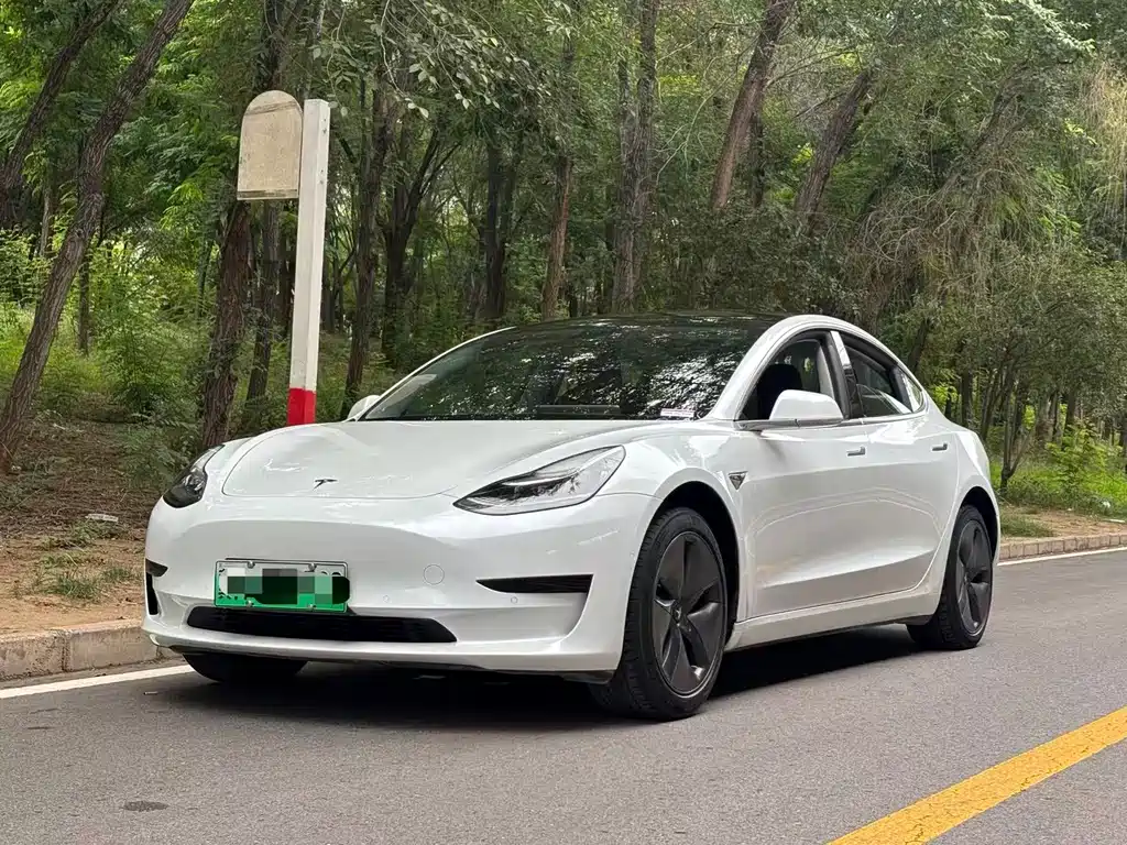 Tesla Model 3 2020 — фото 1