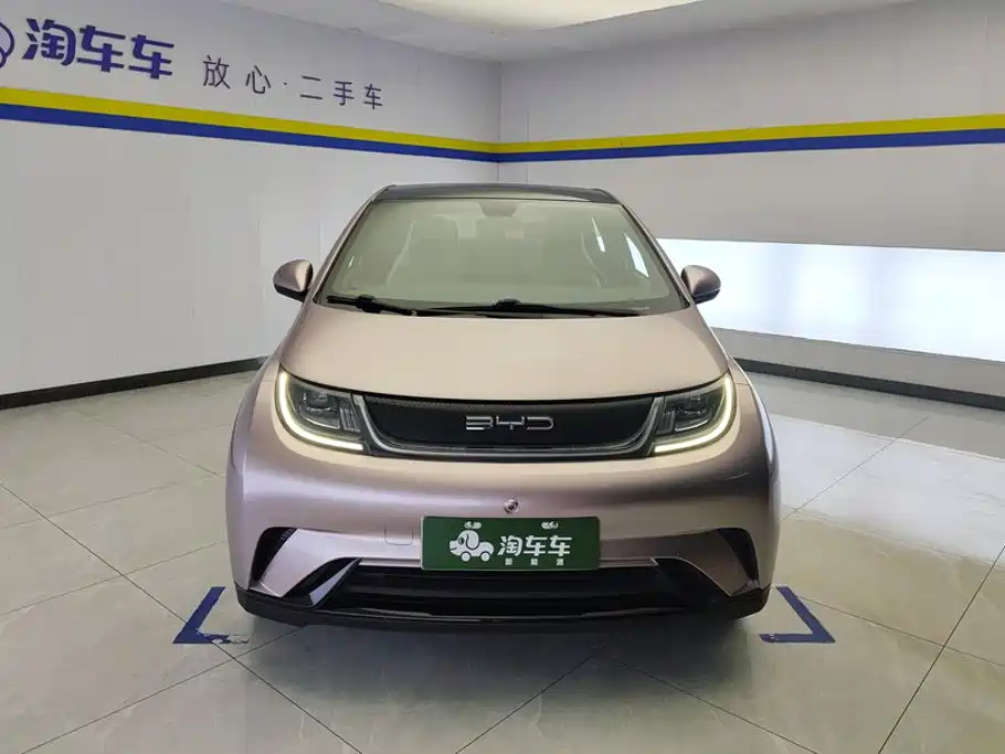 BYD Dolphin 2022