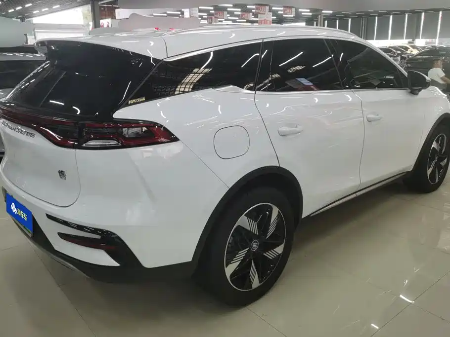 BYD Tang New Energy 2024