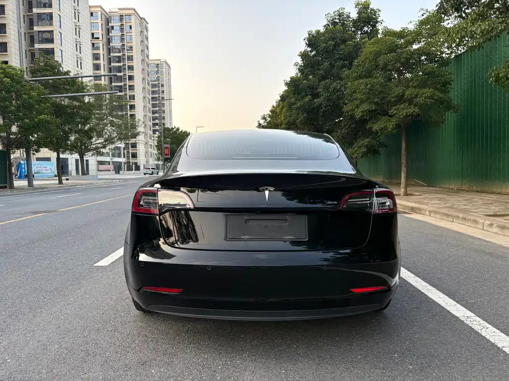 Tesla Model 3 2020 — фото 9