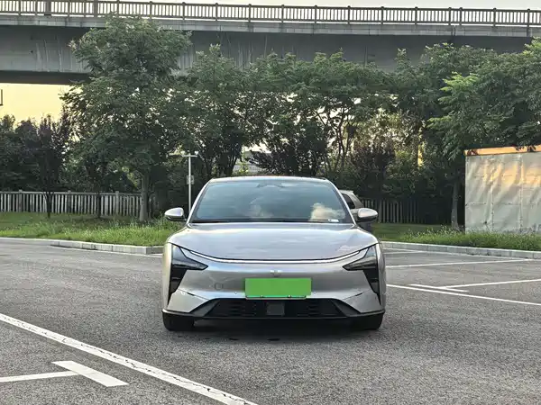 Jiyue 07 2024