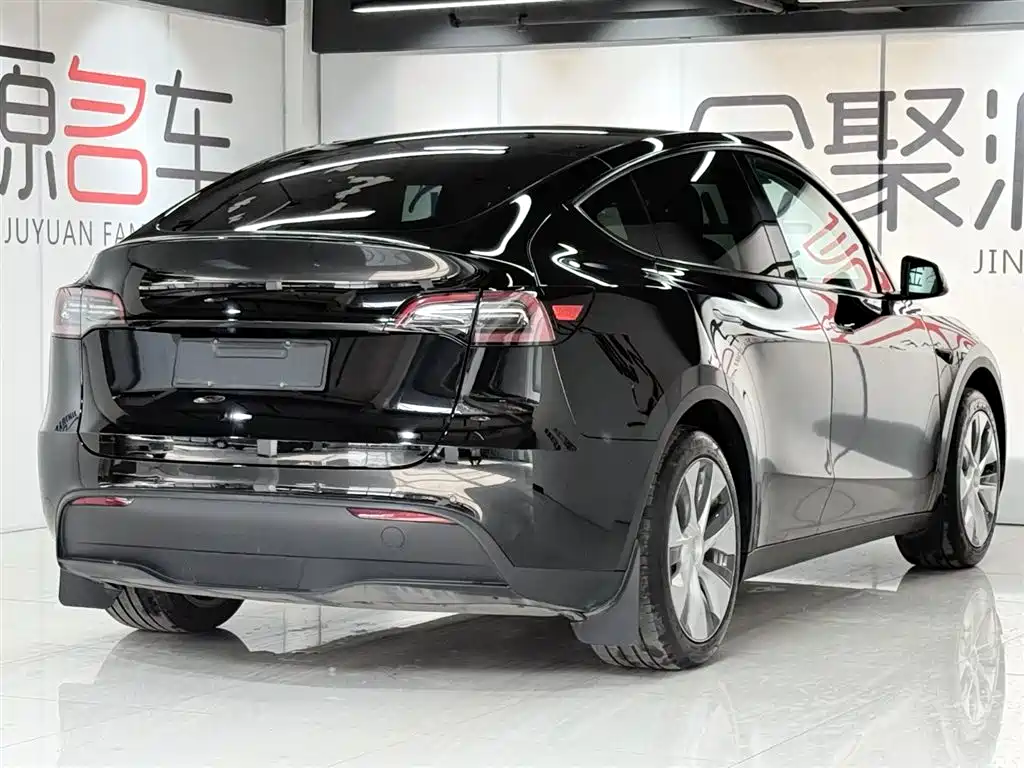 Tesla Model Y 2023 — фото 6