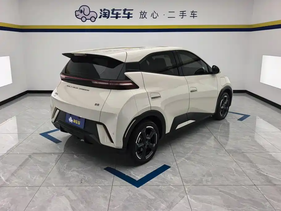 BYD Seagull 2024