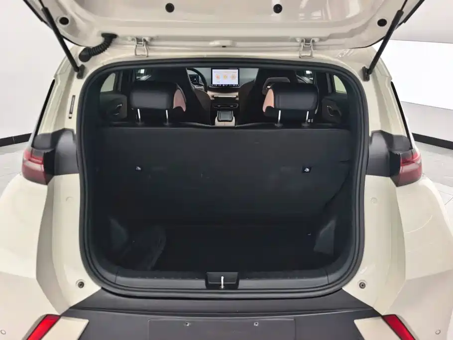 BYD Seagull 2024