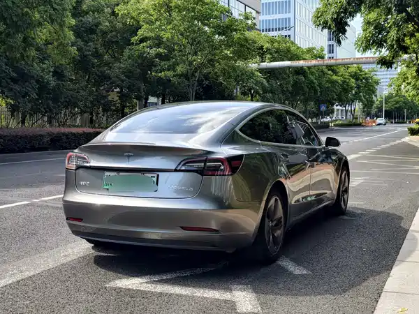 Tesla Model 3 2020