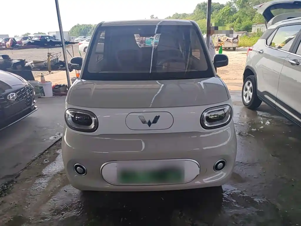Wuling Hongguang MINIEV 2024
