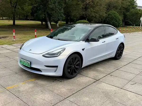 Tesla Model 3 2020