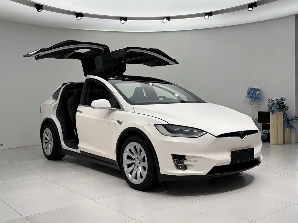 Tesla Model X 2018 — фото 3