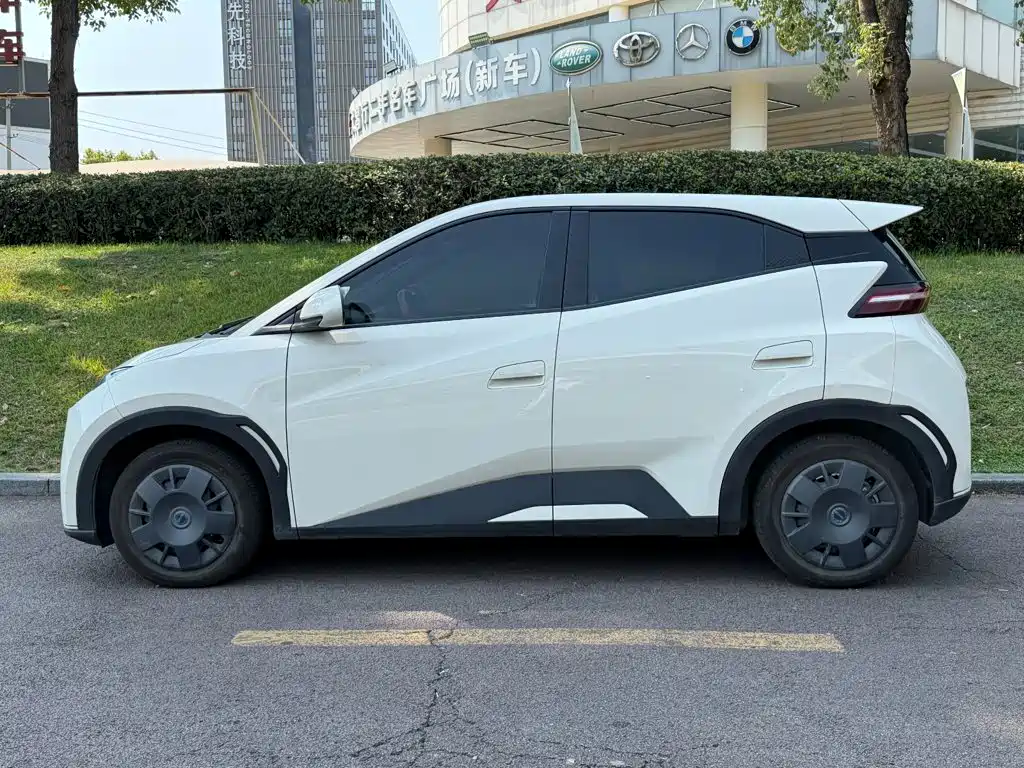 BYD Seagull 2024