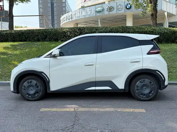 BYD Seagull 2024