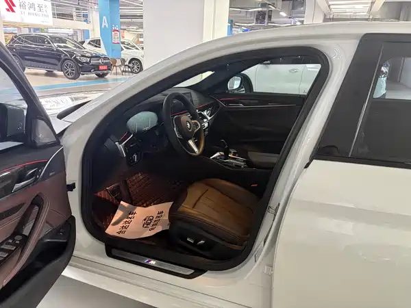 BMW 5 Series 2019