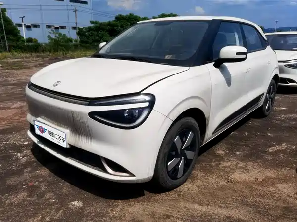 Dongfeng Nano 01 2024