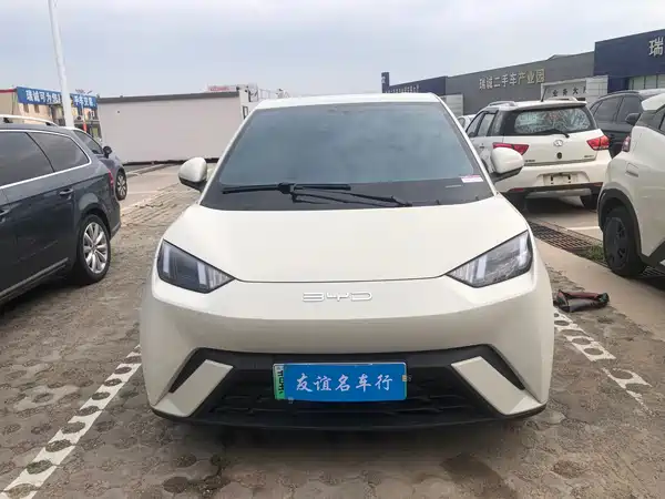 BYD Seagull 2024