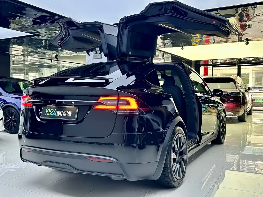 Tesla Model X 2023 — фото 13
