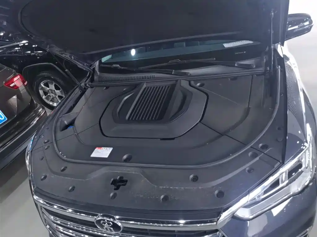 BYD Pro New Energy 2021 — фото 20