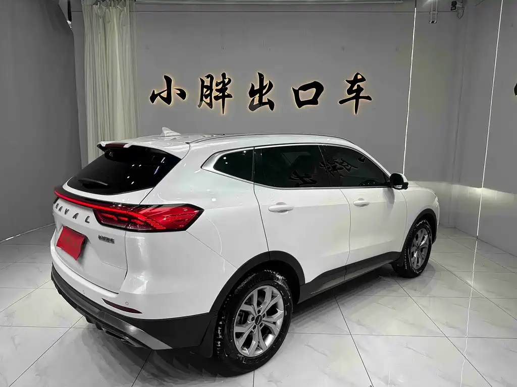 Haval H6 2022 — фото 4