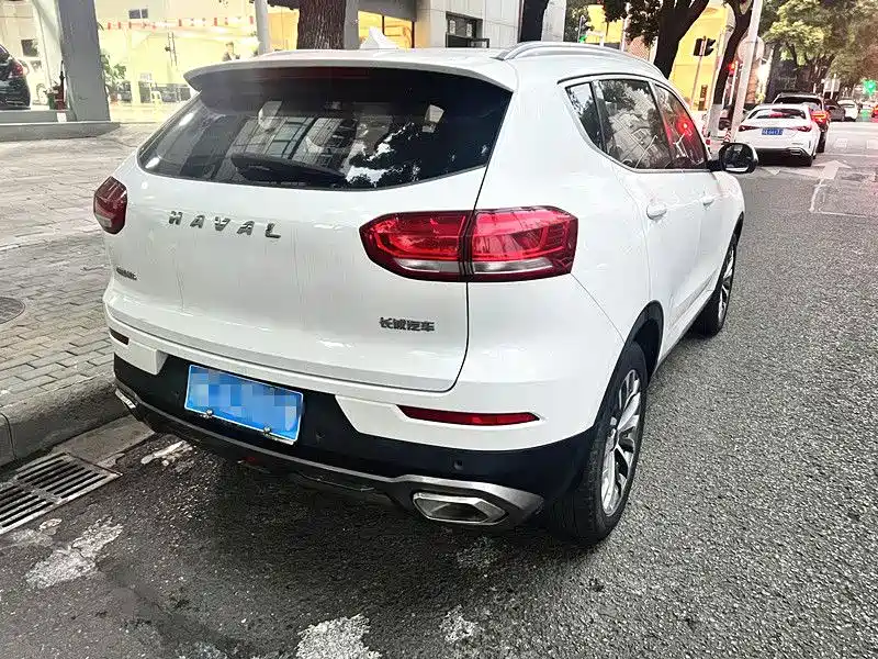 Haval H6 2019 — фото 13