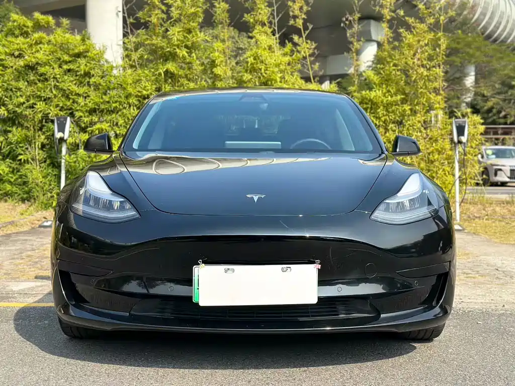 Tesla Model 3 2021 — фото 2