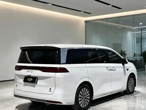 BYD Summer 2025