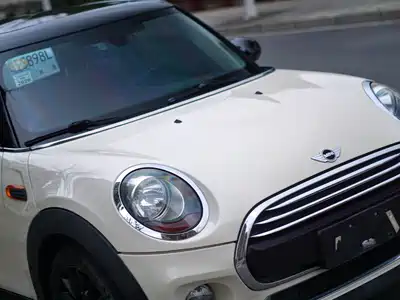 MINI MINI 2018