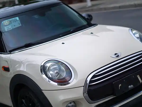 MINI MINI 2018
