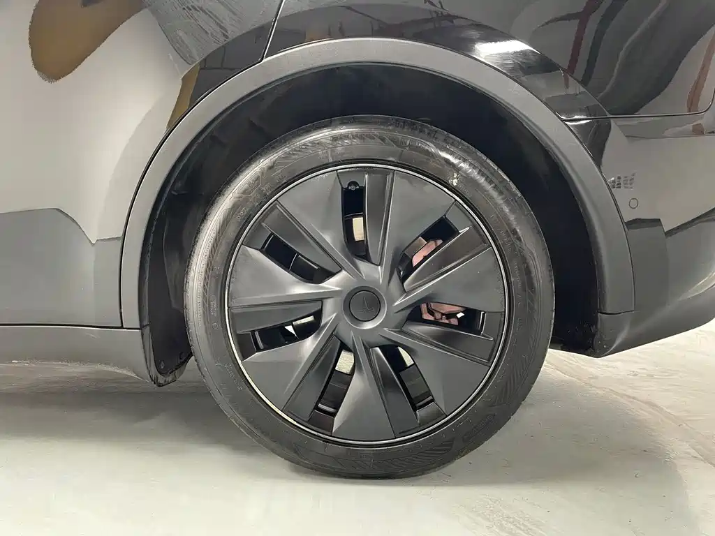 Tesla Model Y 2023 — фото 19