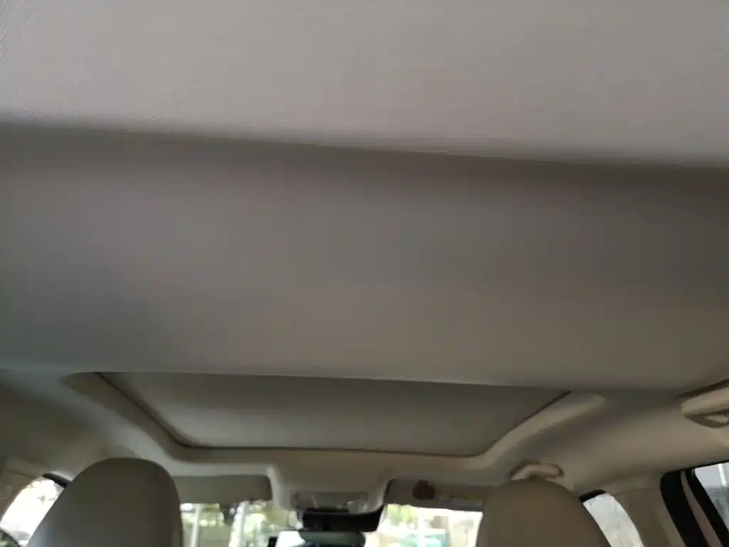 Ora Good Cat 2021 — фото 18
