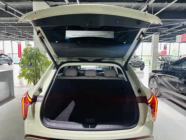 Hongqi Tiangong 06 2026