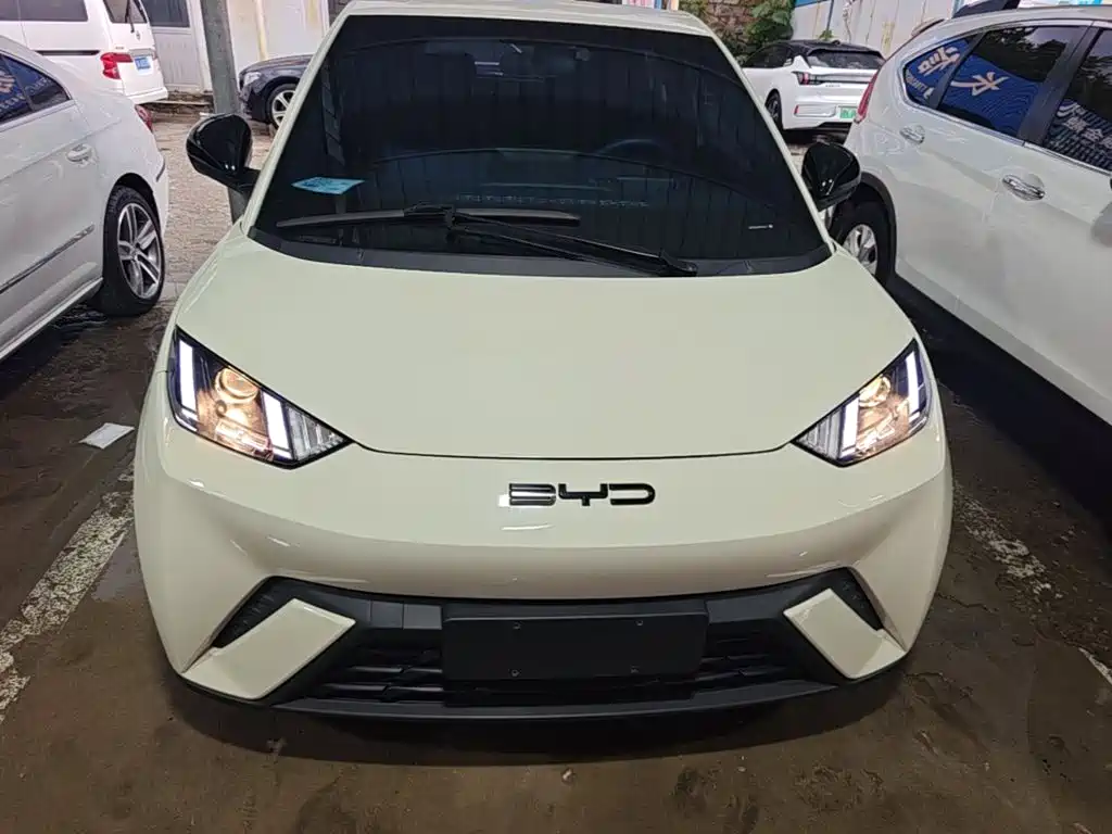 BYD Seagull 2024