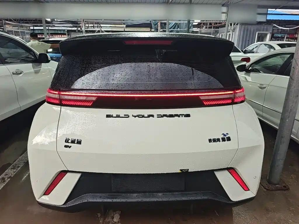BYD Seagull 2024