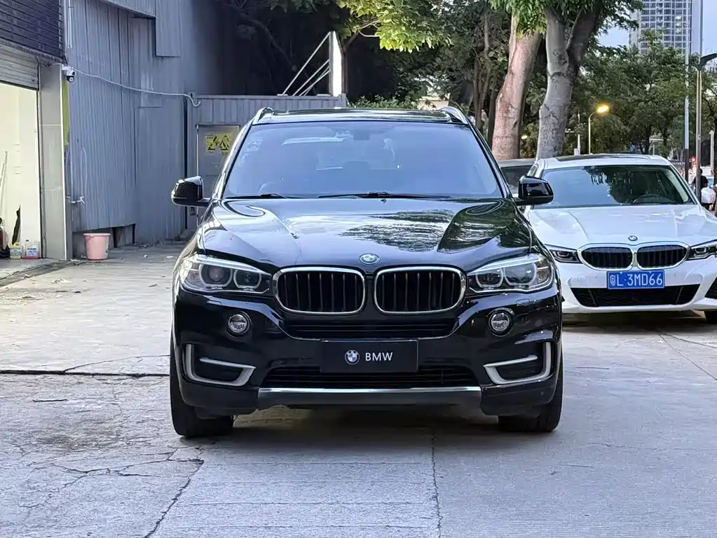 BMW X5 2014 — фото 2