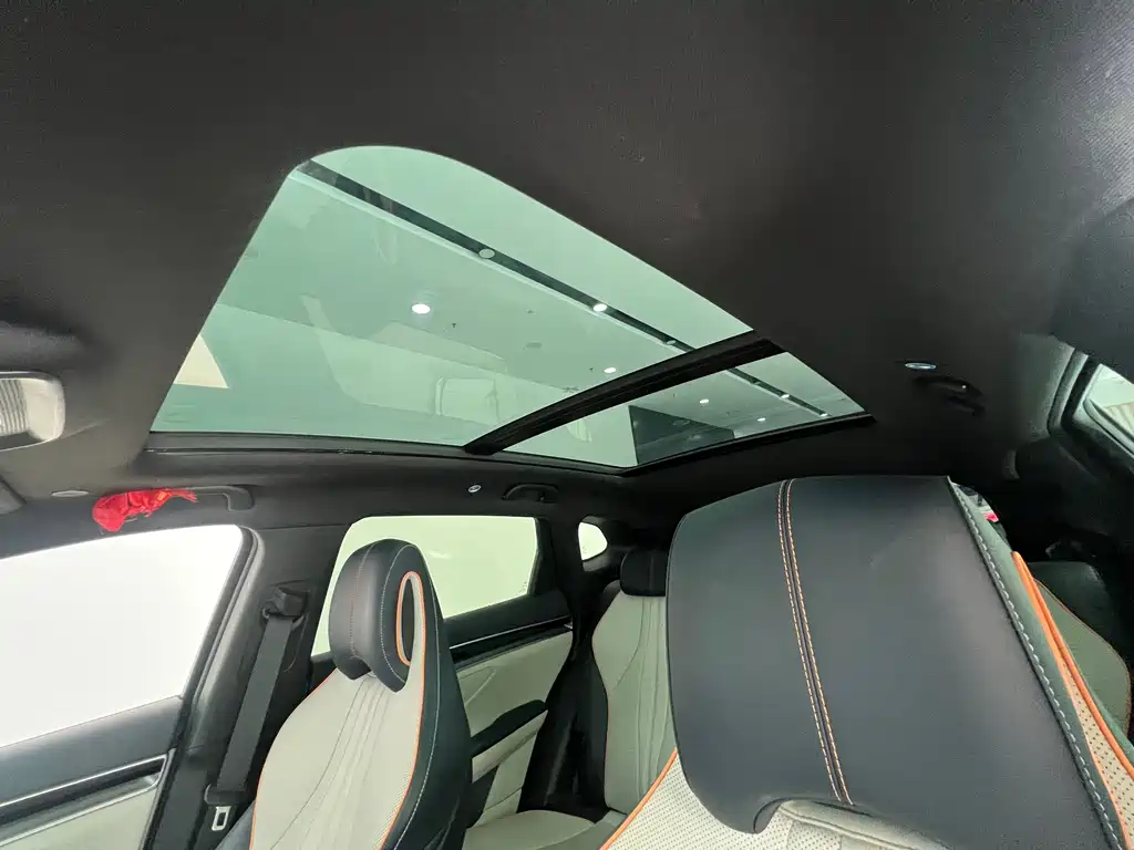 BYD PLUS New Energy 2023 — фото 21