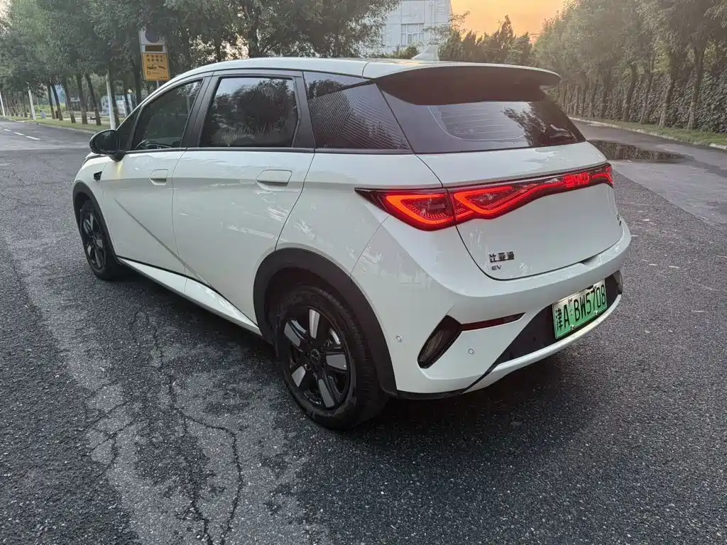 BYD Dolphin 2025