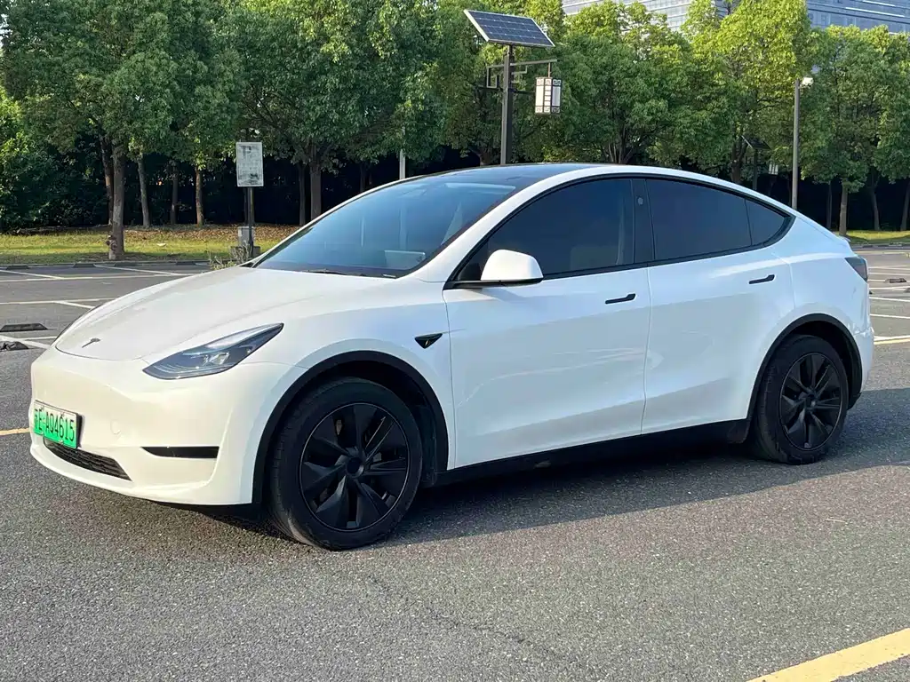 Tesla Model Y 2024 — фото 1