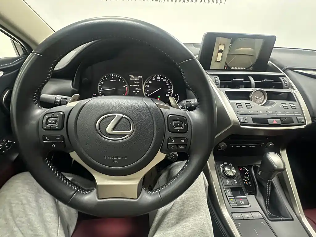 Lexus NX 2021 — фото 13