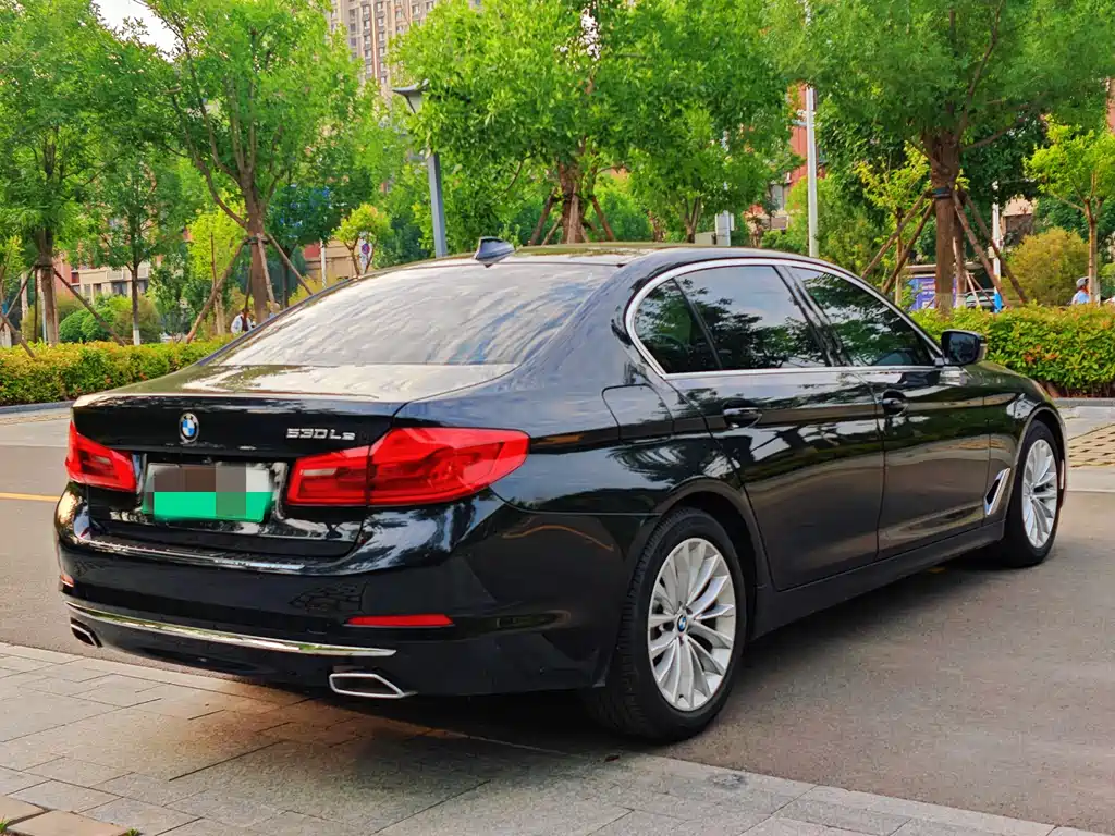 BMW 5 Series New Energy 2020