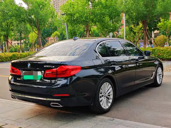 BMW 5 Series New Energy 2020