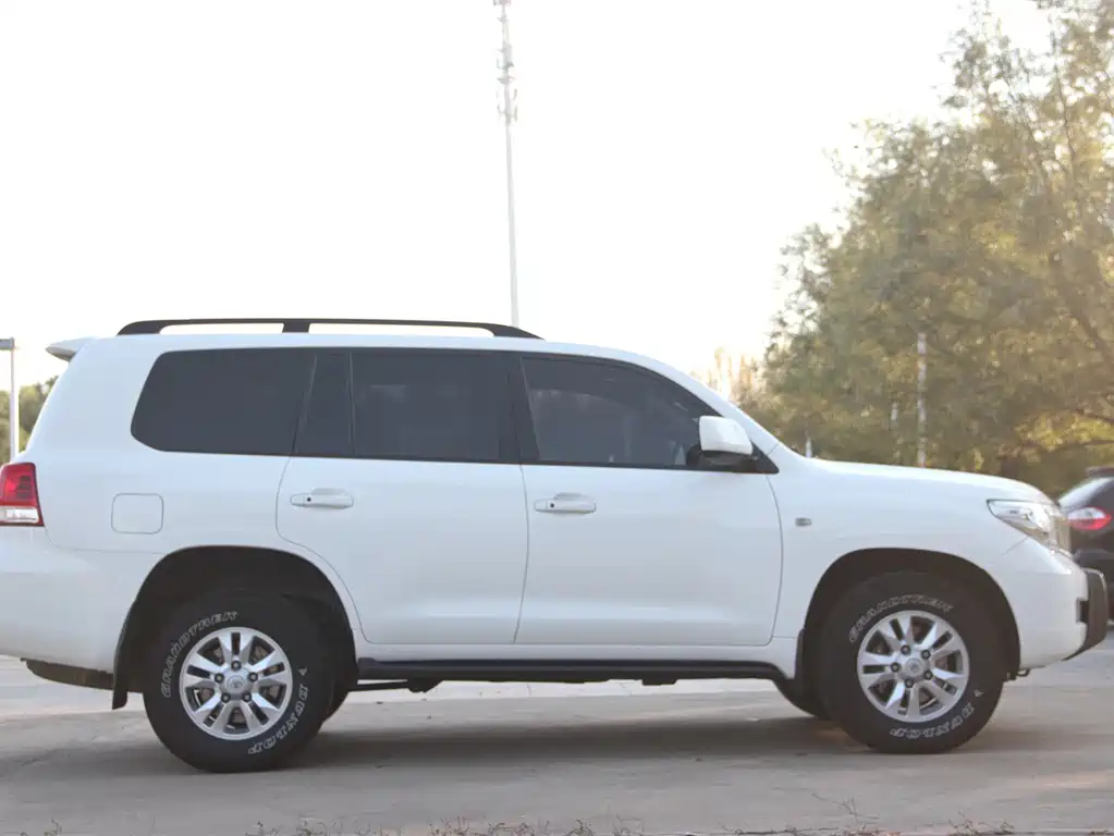 Toyota Land Cruiser 2010 — фото 18