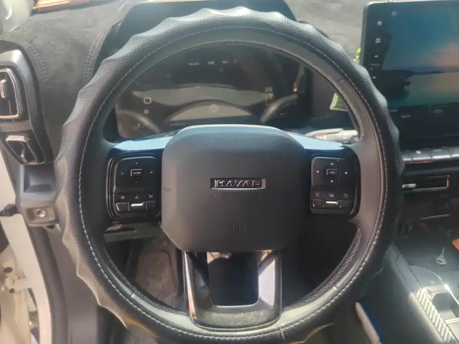 Haval Dargo PLUS EV 2023 — фото 15