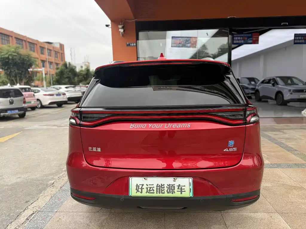 BYD Tang New Energy 2019 — фото 6