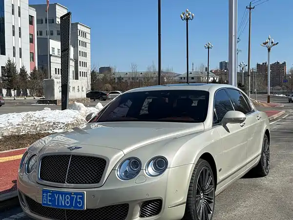Bentley Flying Spur 2010